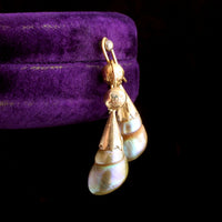 Victorian Tasmanian Maireener Shell Earrings