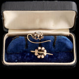 Early Victorian Rose Cut Diamond Cluster Earrings