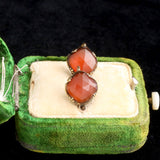Georgian Quatrefoil Carnelian Shell Earrings