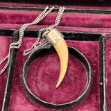 Canine Tooth (?)  Bavarian Hunting Talisman