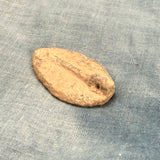 Lead Vessica Seal #2
