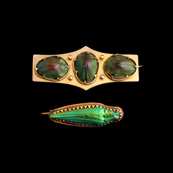 Victorian Egyptomania Beetle Brooches