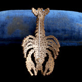 Victorian Cut Steel Lobster Brooch