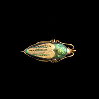 Victorian Ruby-Eyed Beetle Brooch
