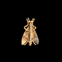 Victorian Turquoise & Garnet Gilt Silver Moth Brooch