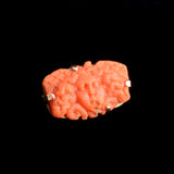 19th Century Carved Coral Medusa Brooch