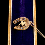 Victorian Horseshoe & Clover Necklace
