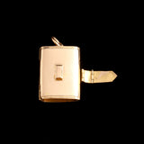 Late Victorian Satchel Locket