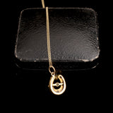 Victorian Diamond & Enamel Horseshoe Necklace