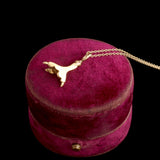 Victorian Diamond Claw Necklace