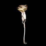 Victorian Gilt Silver Rose Vinaigrette