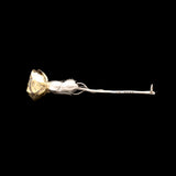 Victorian Gilt Silver Rose Vinaigrette