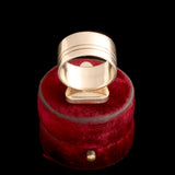Vintage Insects Trapped in Amber Modernist Ring